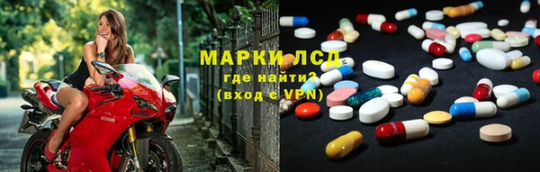 прущие грибы Баксан